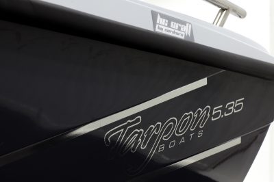 Мотор tarpon 5